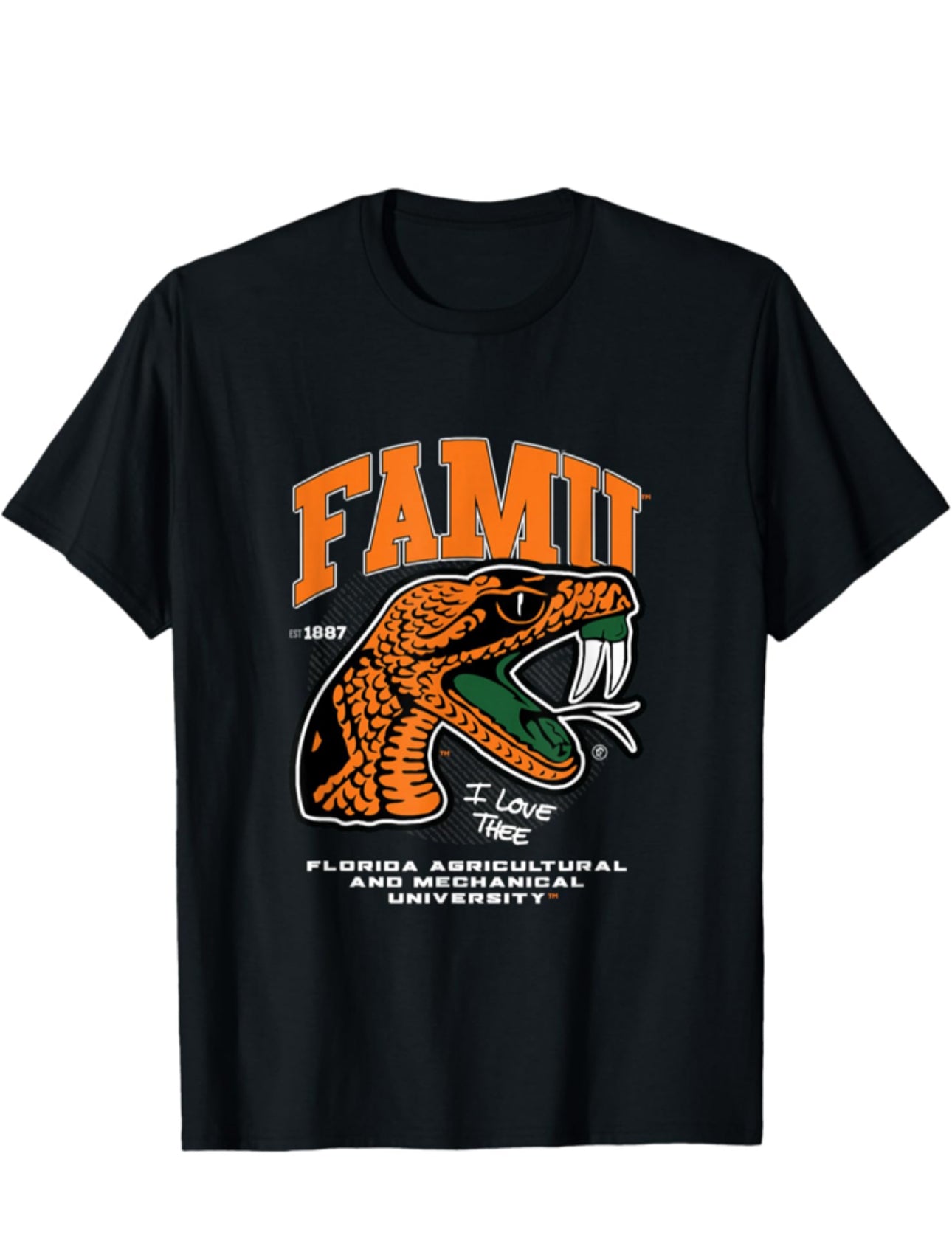 “FAMU” Dress